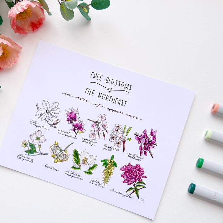 Tree Blossoms of the Northeast | Recycled Cardstock Print for wholesale by D. Prince Designs