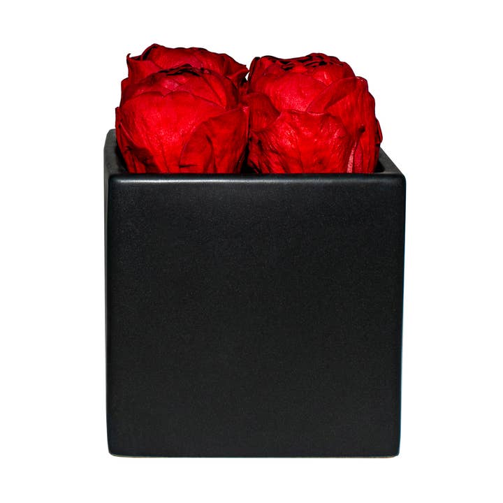 Red Peonies Black Grand Square for wholesale by Eternal Fleur