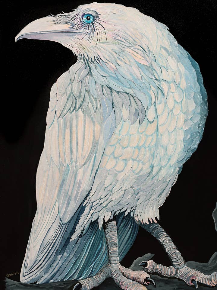 CUERVO MISTERIOSO para venta al por mayor de Sevigny Studio