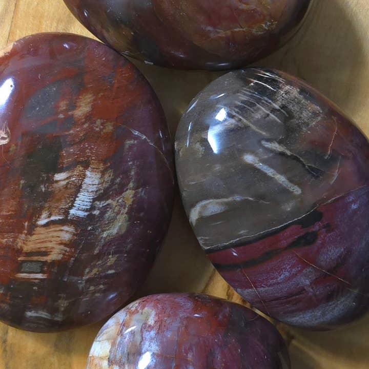 Petrified Wood Palm - 1-6 KG Lots for wholesale by Jensen Rocks