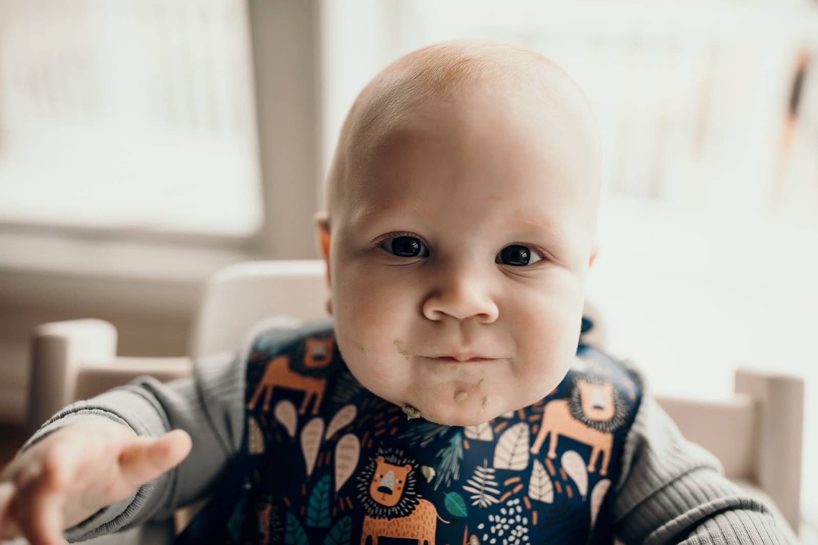 Three Little Tots - Wholesale Bib - Baby - Zoo Lion Print Silicone Bib with Crumb Catcher12