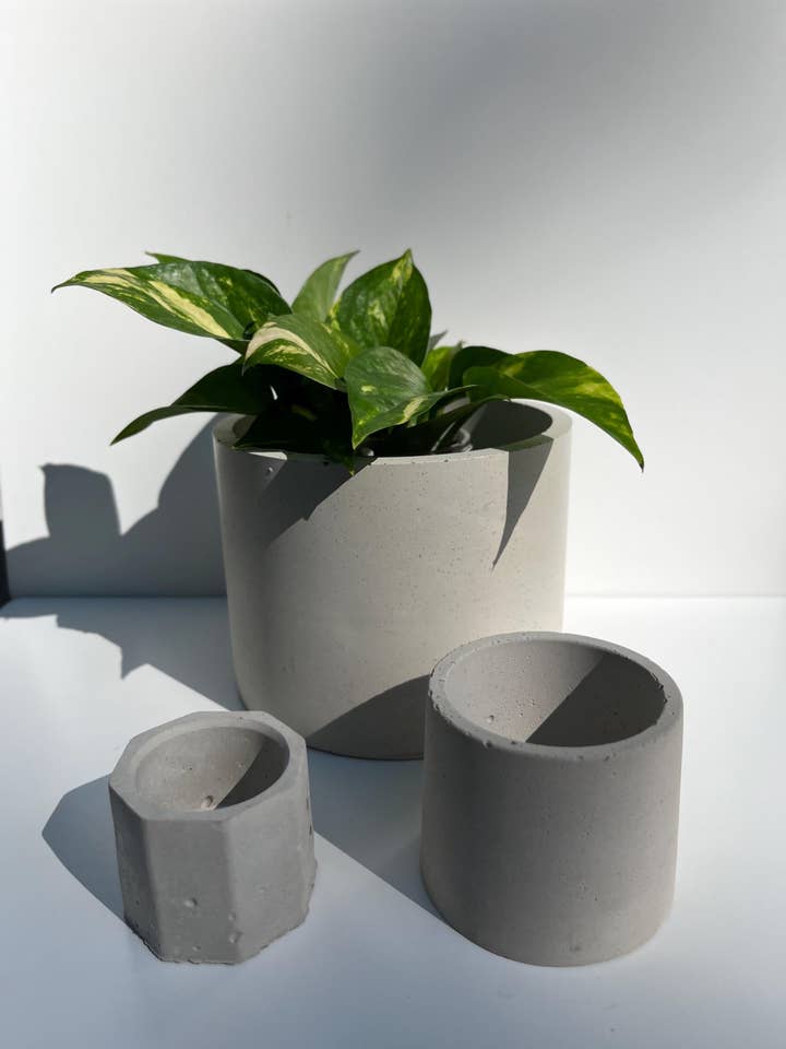 6-Inch Concrete Planter for Indoor Plants and Gifts for wholesale by Twin Poppy Supply LLC
