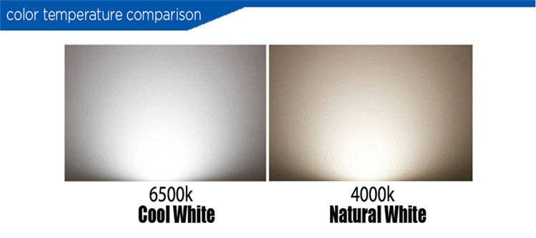 Alltronics (DBA Alltrolite) - Wholesale Light Bulb/Puck - AlltroLite® E27 12W LED Emergency Rechargeable Light Bulb8