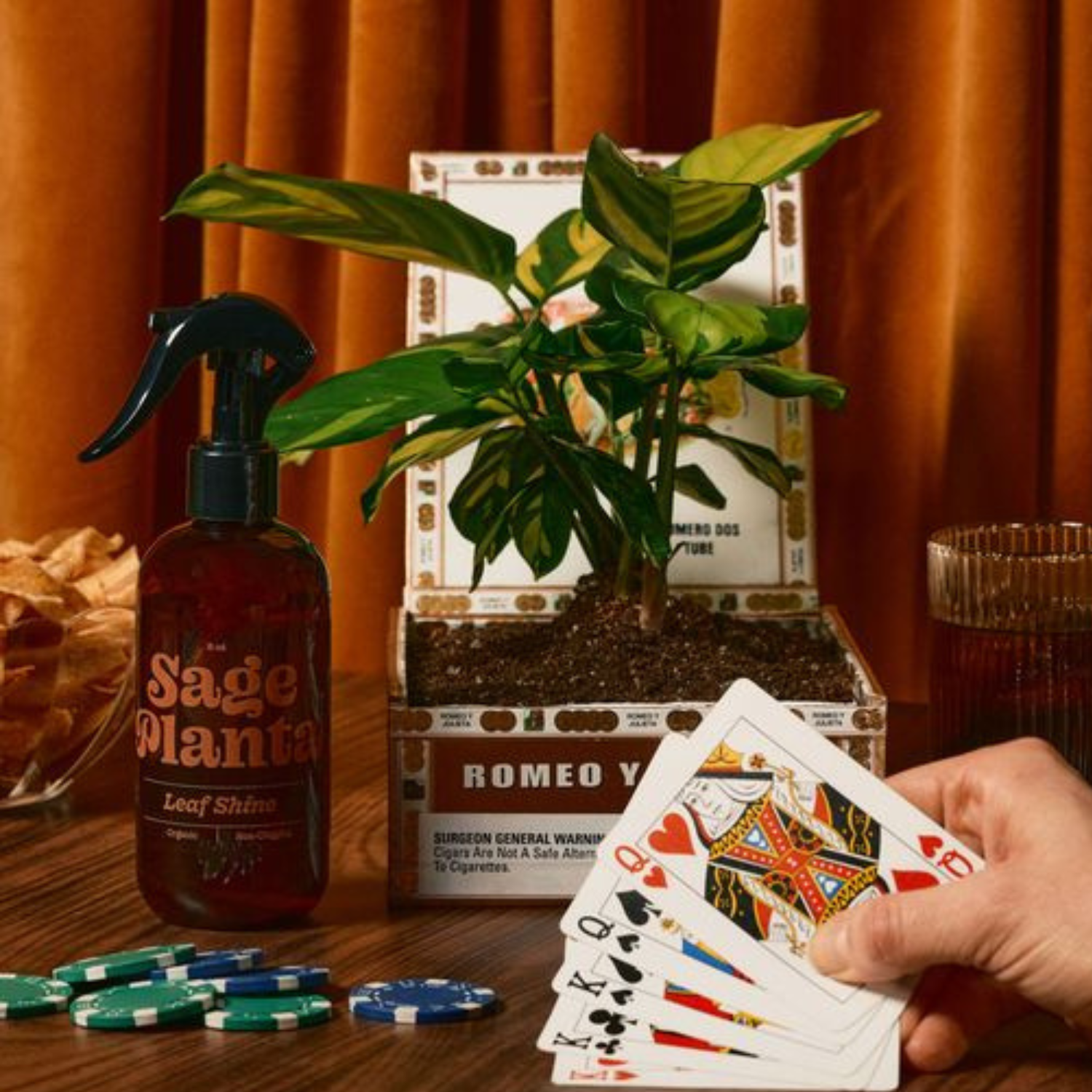 Sage Planta – wholesale Plant mister – Plant Shine Spray1