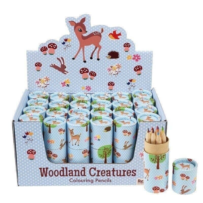 Rex B2B - UK – wholesale Coloured pencil – Tube of Colouring Pencils - Woodland Creatures0