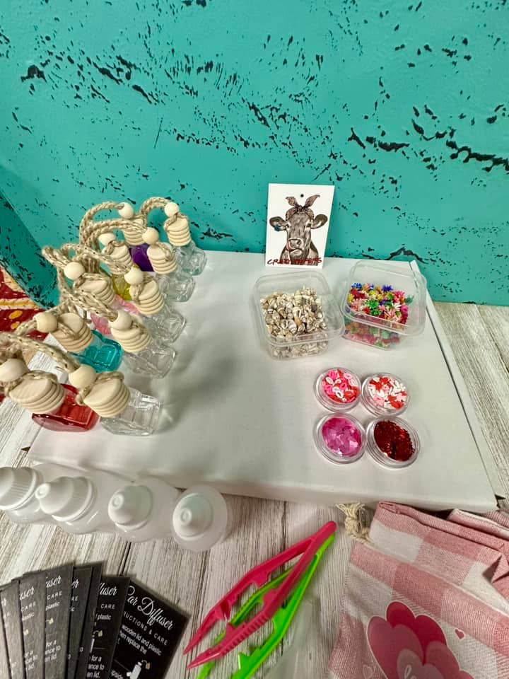 Crazy Heifers Wholesale - Wholesale Car Freshener - Women's - Car Diffuser Bar Starter Kit1