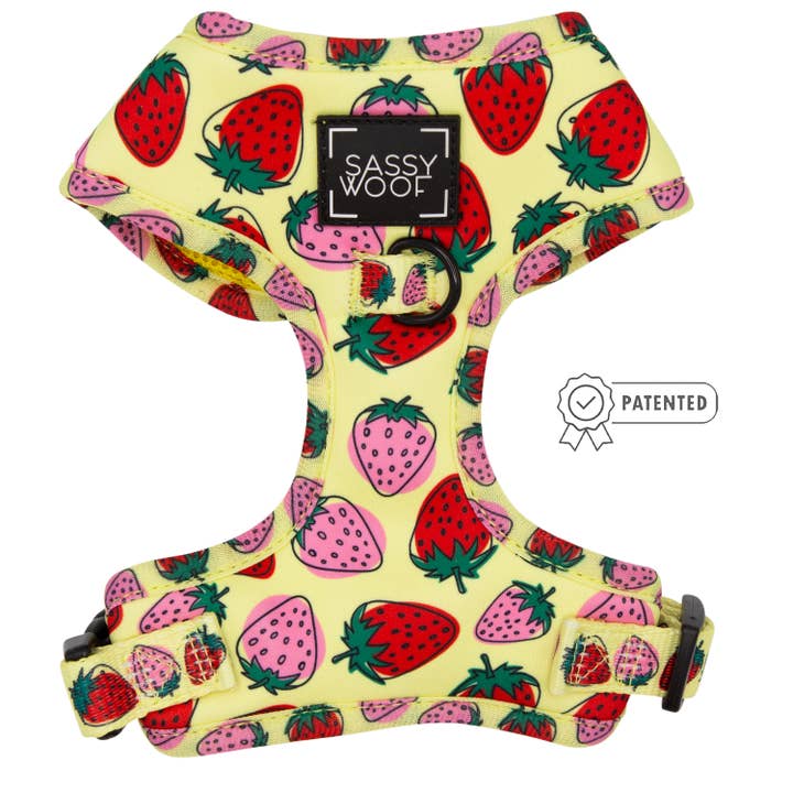 SASSY WOOF - Wholesale Pet Harness - Dog - Dog Adjustable Harness - Strawberry Fields Furever (Spring)