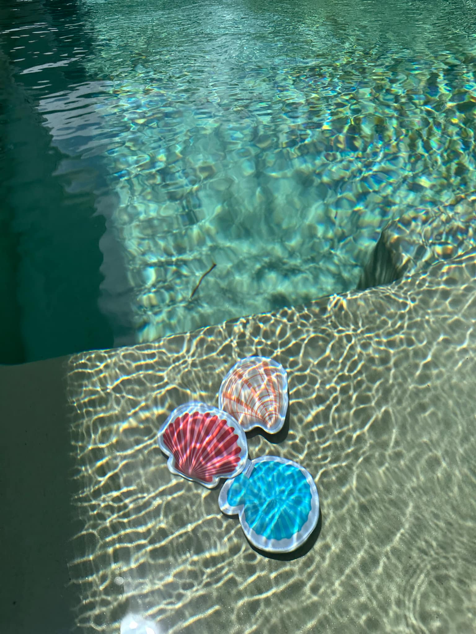 Coast Kids – Großhandel Spielzeug für Strand/Pool – Kinder & Baby – Shoal Bay sinkende Muscheln – Neopren-Tauchspielzeug4