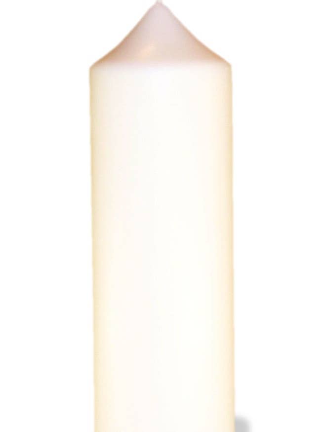Sansevieria White Candle for wholesale by Maison du Talent d'Or