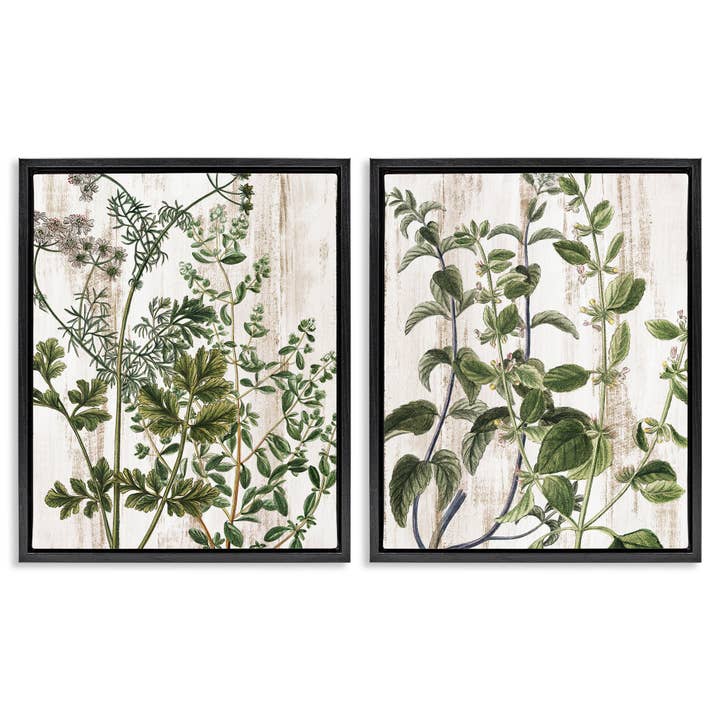 Aged Botanical Leaves Floater Framed Art for wholesale by Stupell Industries