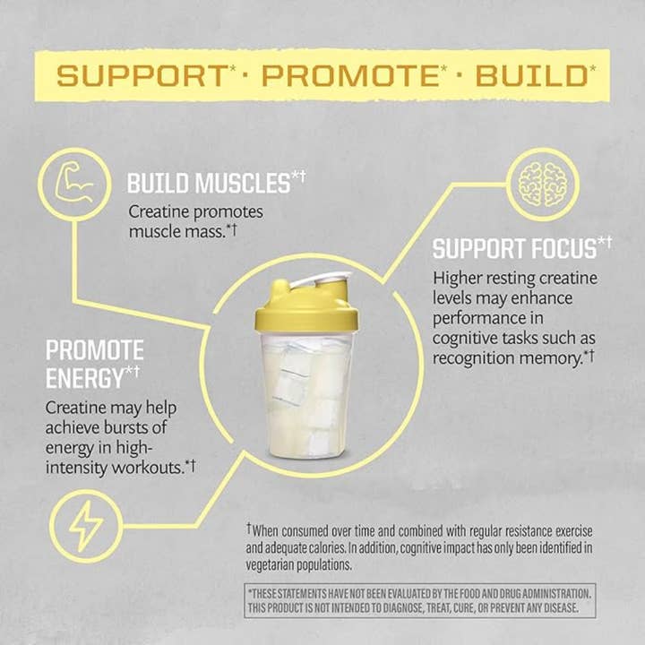 Sunwarrior - Wholesale Powdered Health Drink - Lemonade Active Creatine Drink Powder- Vegan, Soy-Free