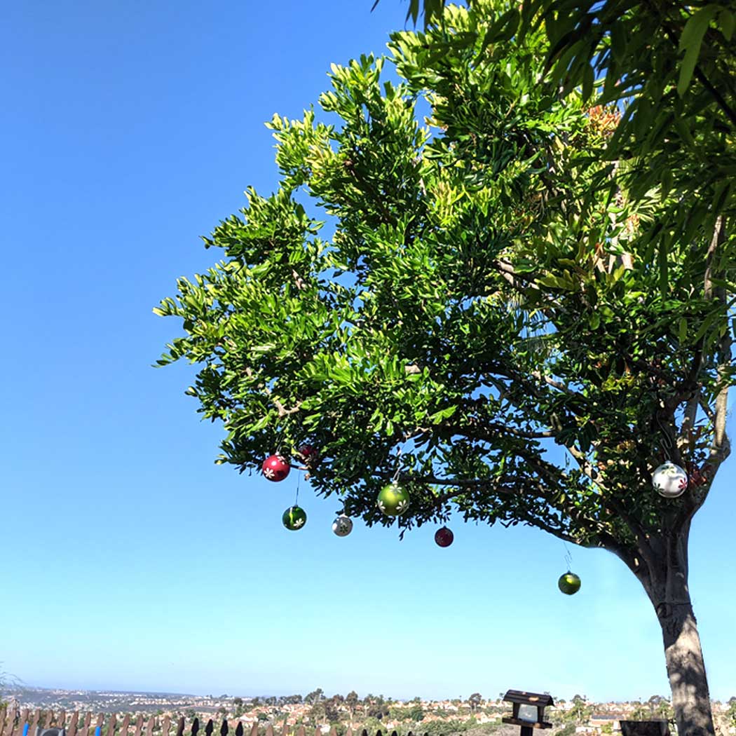 Ostreach - Wholesale Ornament - Ostreach Ornament Hanging System5