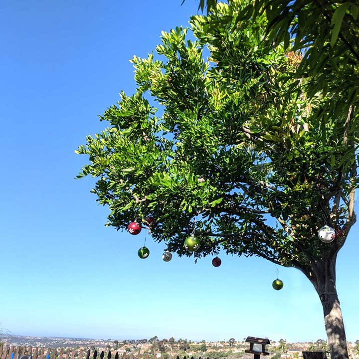 Ostreach - Wholesale Ornament - Ostreach Ornament Hanging System5