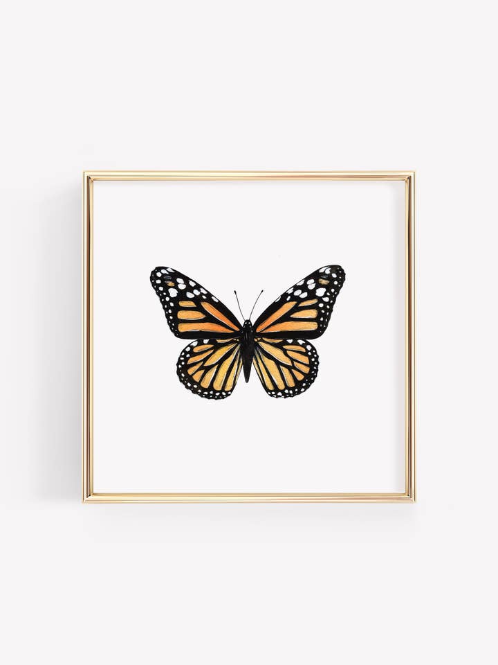 Monarch Butterfly Art Print for wholesale by Tara Feather Designs