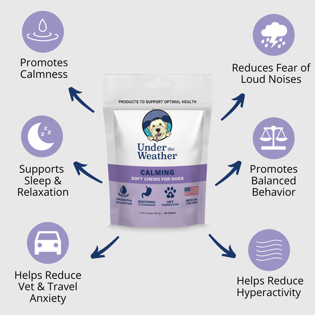 Under the Weather Pet - Wholesale Pet Supplement - Dog - Calming Soft Chews For Dogs2