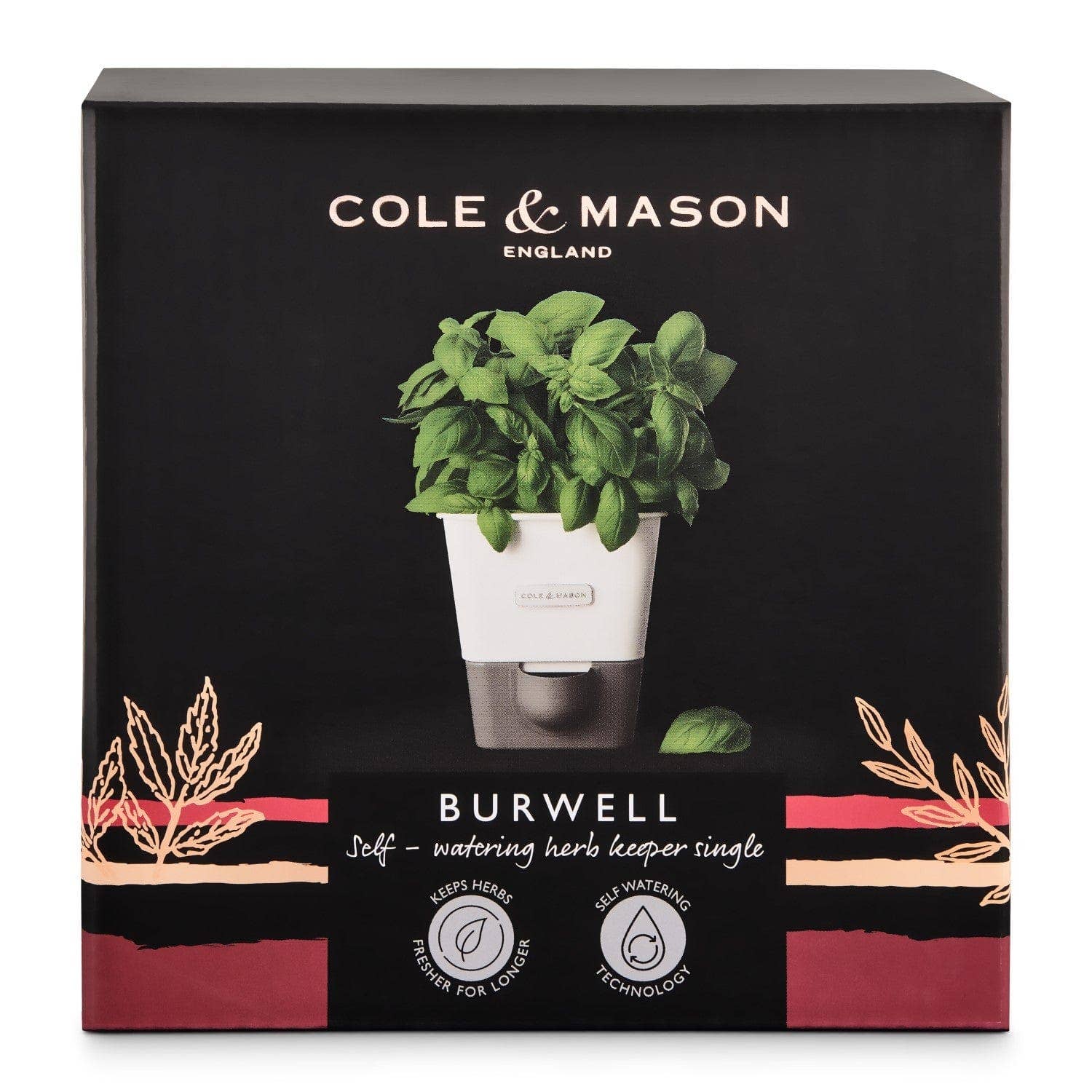 DKHB [Zyliss, Cole & Mason, Swissmar, AdHoc, Ken Hom] - Wholesale Plant Pot - Cole & Mason Self-Watering Potted Herb Keeper5