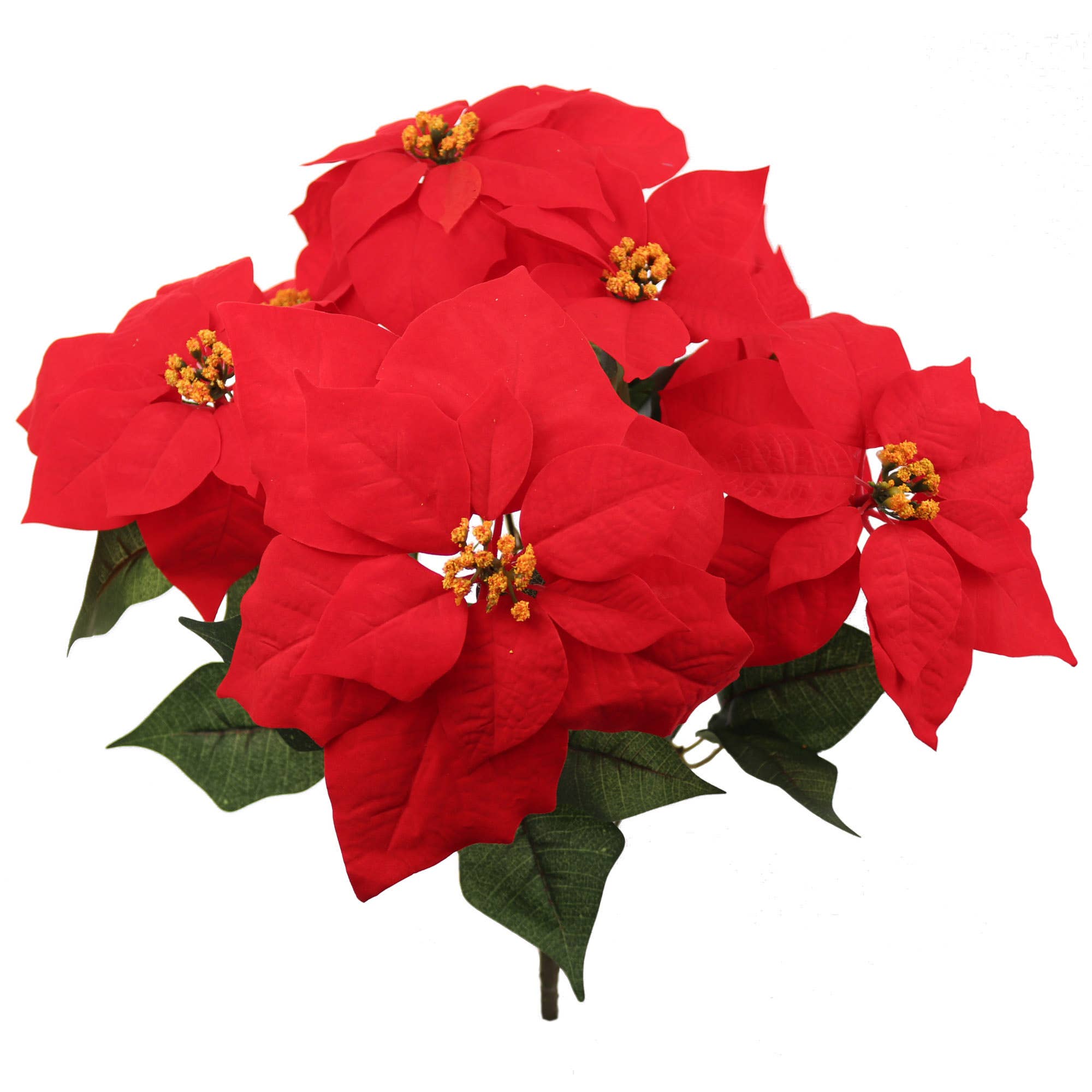 Larksilk - Vendita all'ingrosso Fiori finti - 20" Cespugli di Fiori di Poinsettia in Velluto alti 7 pezzi 1 pz0