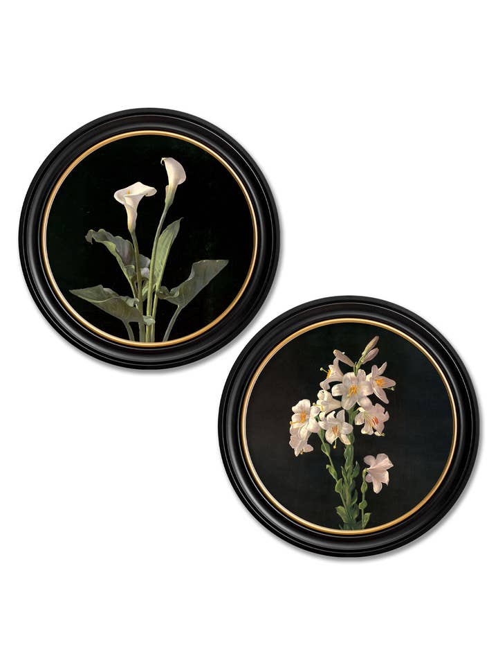 c.1874 George Cochran Lambdin Lillys - Round Frame for wholesale by T A Interiors Wall Art & Mirrors