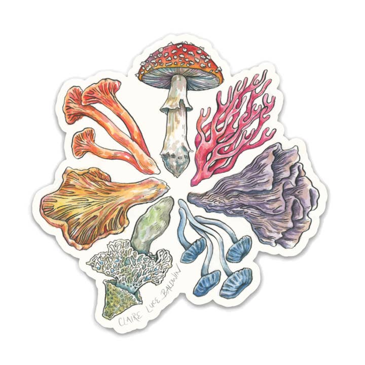 Mushroom Color Wheel Sticker for wholesale by Claire Loon Baldwin Illustration