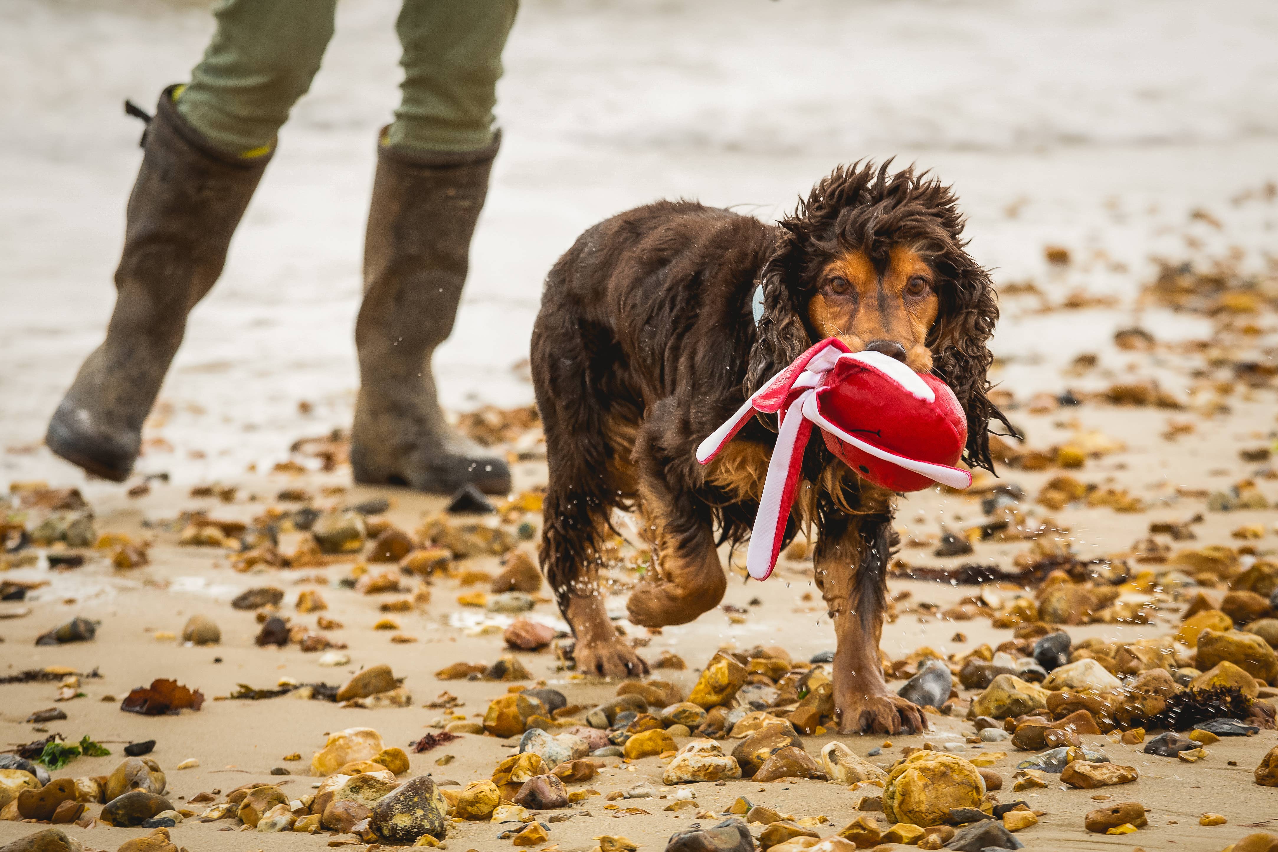 Sustainapaws – wholesale Pet plush toy – Dog – Octopus Double Layered Recycled Plastic Plush Eco Dog Toy8