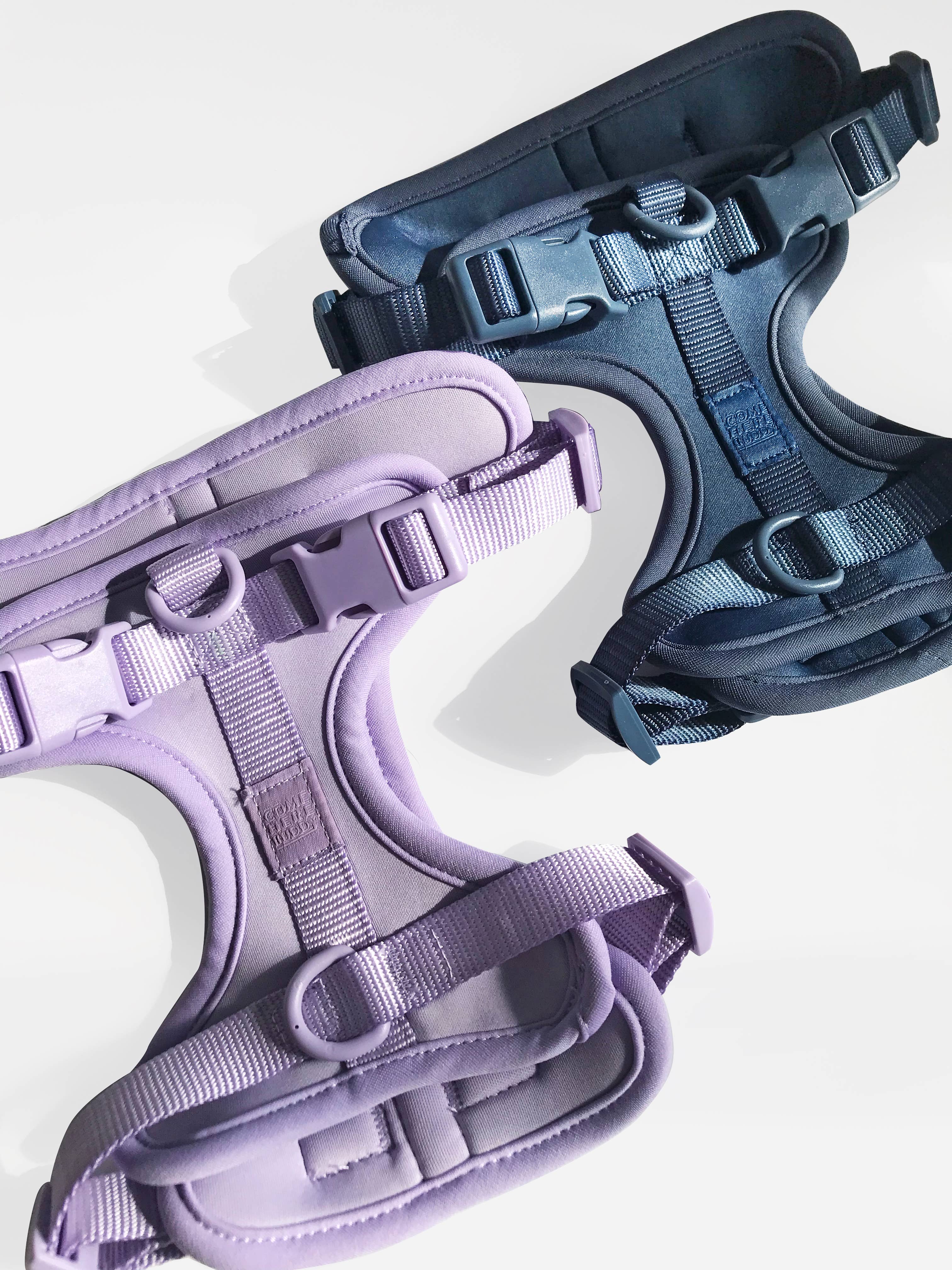 Come Here Buddy – Großhandel Haustiergeschirr – Hund – Leichter, verstellbarer gepolsterter Hundegeschirr25