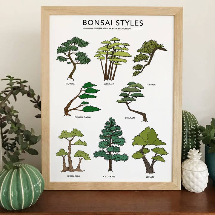 Bonsai Styles Print for wholesale by Kate Broughton