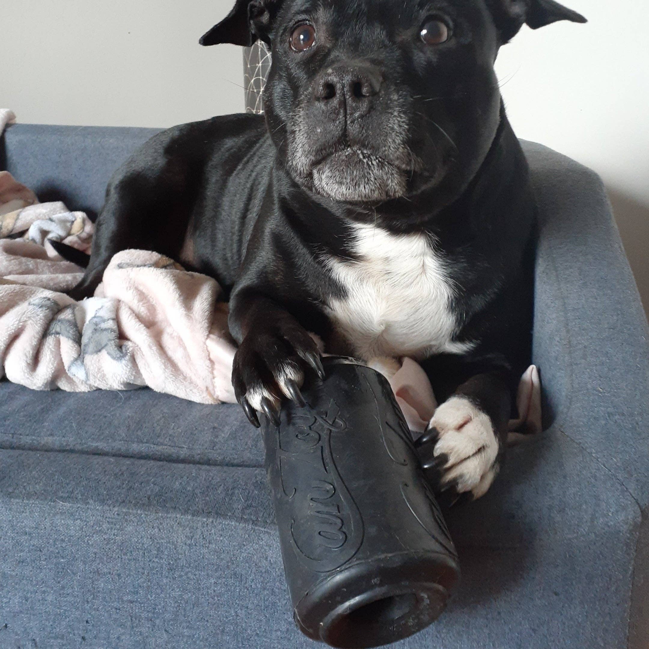 Rover Pet Products - Vendita all'ingrosso Giocattolo da masticare - Cani - Giocattolo Magnum Can (Power Chewers)3