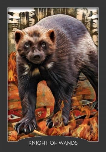 Cardshouse - Vendita all'ingrosso Tarocchi - Carte dei Tarocchi Guardian of the Night di Hay House8