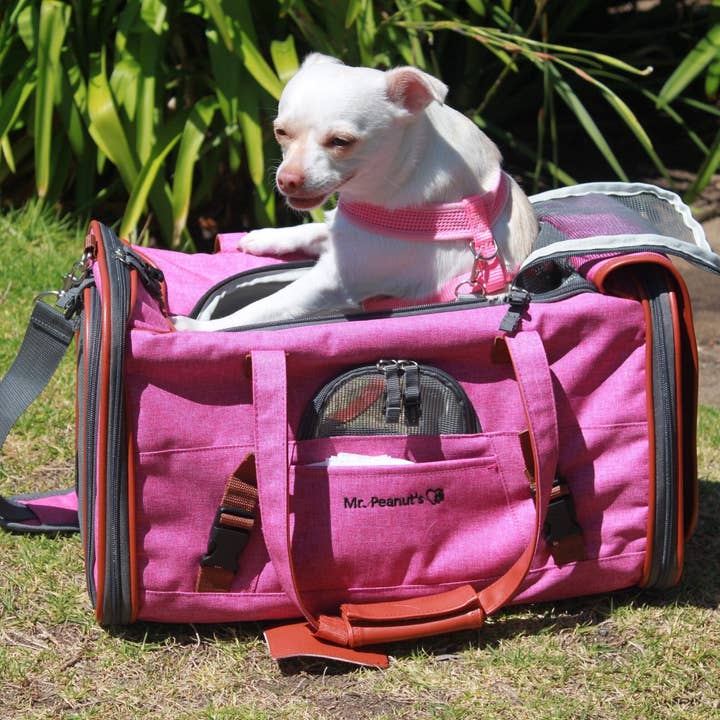 Mr. Peanut's - Wholesale Pet carrier – Cat/dog - Mr. Peanut's Gold Series Standard Size Airline Compliant Pet Carrier19