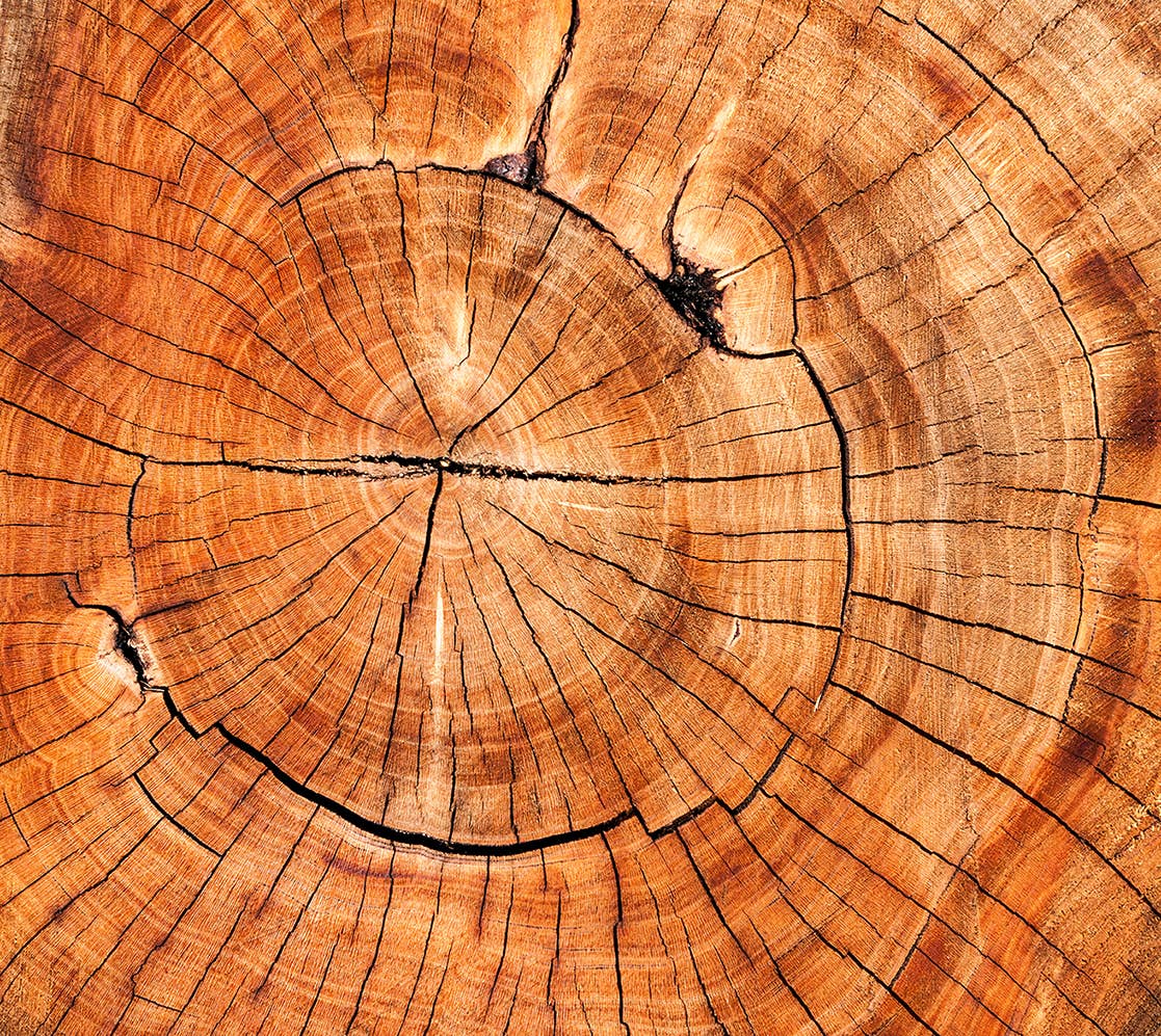 MONKS – wholesale Deodorant - Unisex – COPAL GREEN deodorantspray3