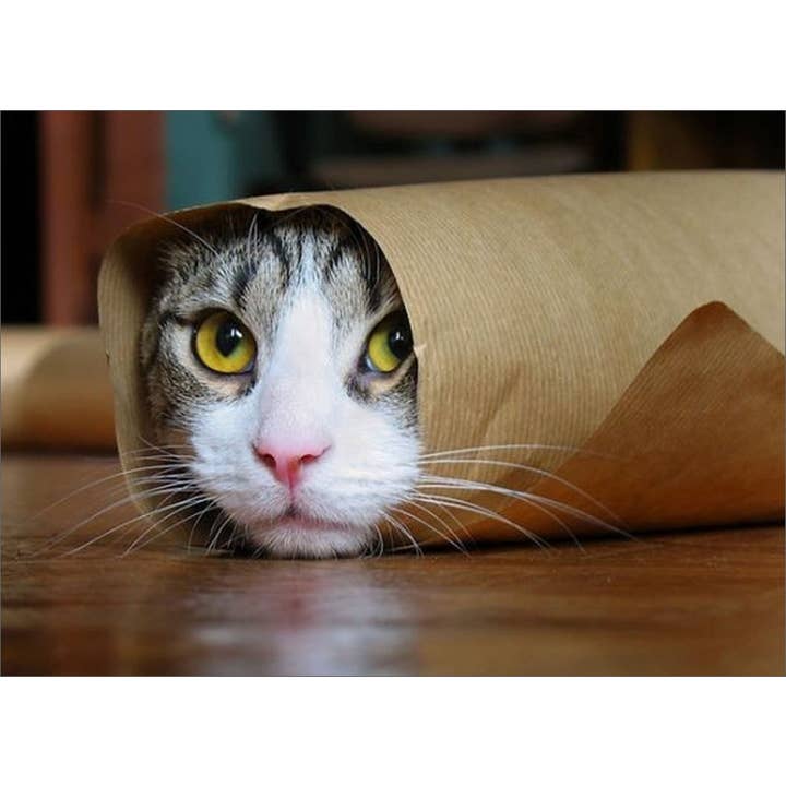 Purrito por atacado de Retrospect Greeting Cards