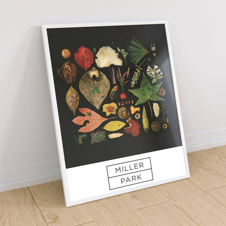 Miller Park Poster for wholesale by Virginia Christman Art
