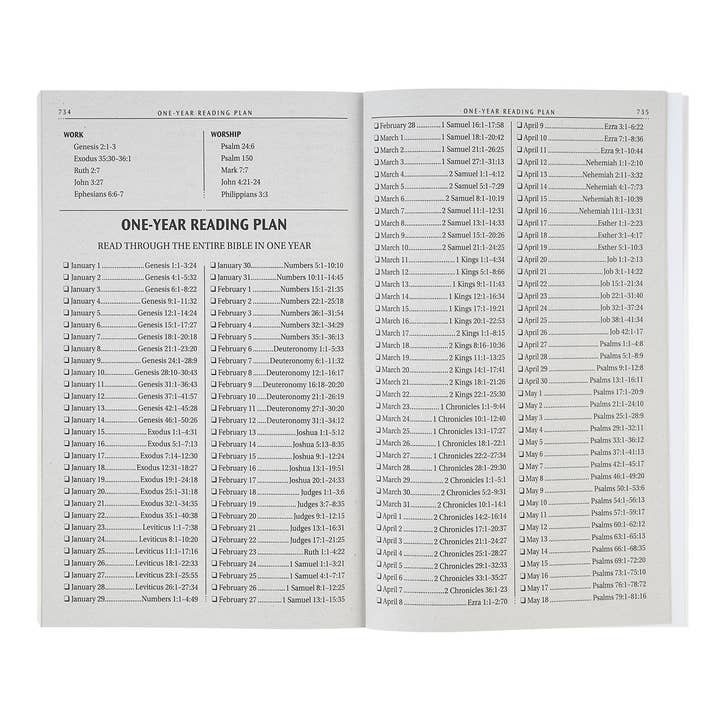 Christian Art Gifts - Wholesale Religion - KJV Bible Outreach Softcover, Floral3