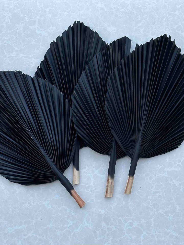 14" CHARCOAL SunDried Painted Palm Leaf Decor, SAME DAY SHP for wholesale by The Blooming Palm