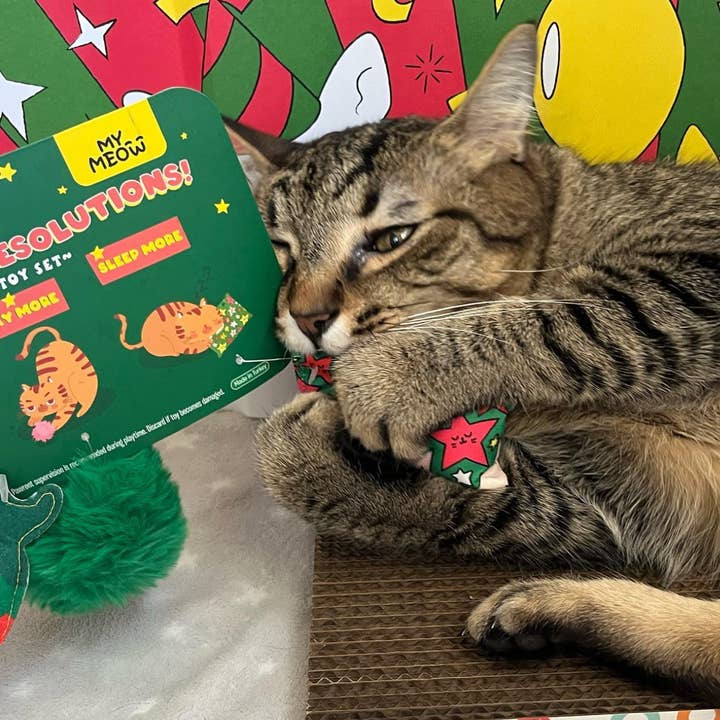 WufWuf - Wholesale Pet Toy Set - Cat - MyMeow Meow Year Resolutions, Catnip Toy Set