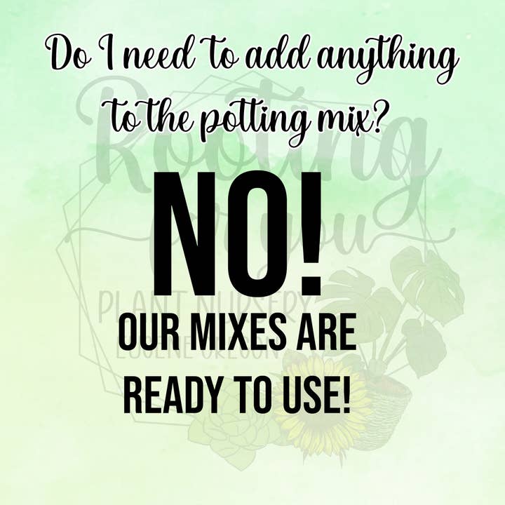 Rooting For You Plant Nursery - Wholesale Planting/Potting Soil - MINI GRIT Cactus & Succulent Premium Potting Mix