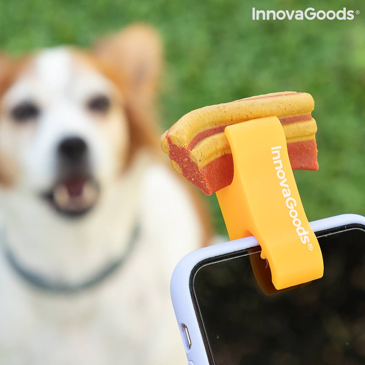 InnovaGoods - Wholesale Pet Collar - Cat/Dog - InnovaGoods Pefie Pet Selfie Clip1