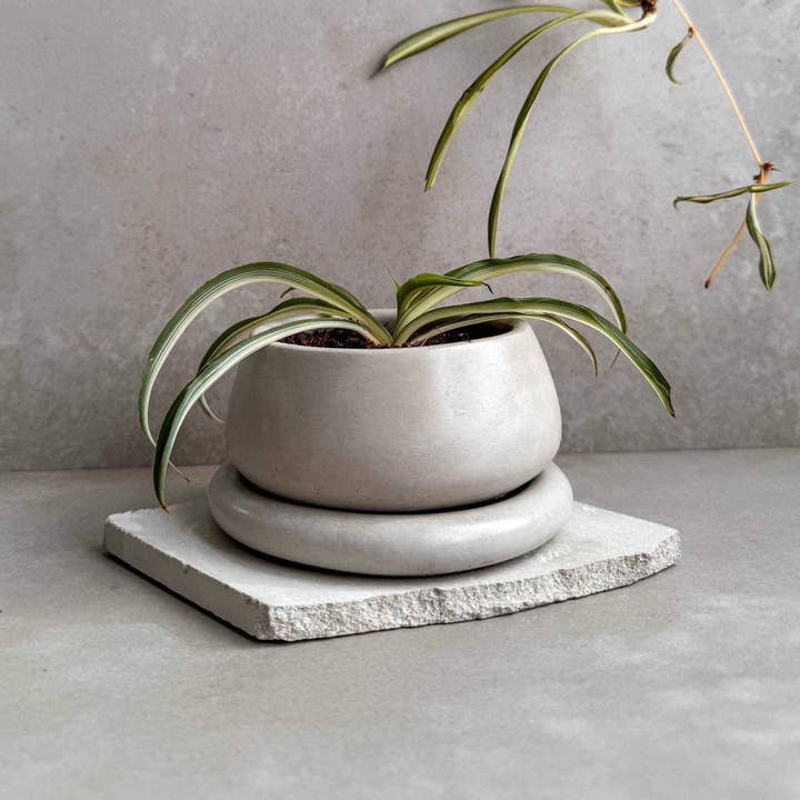 Minimal Loot Design – wholesale Kruka – Liten planteringsmaskin med dränering, söt växtkruka, bubbelplanterare, suckulentplanterare, dekorativ betongkruka, rund bonsaikruka, knubbig minikruka