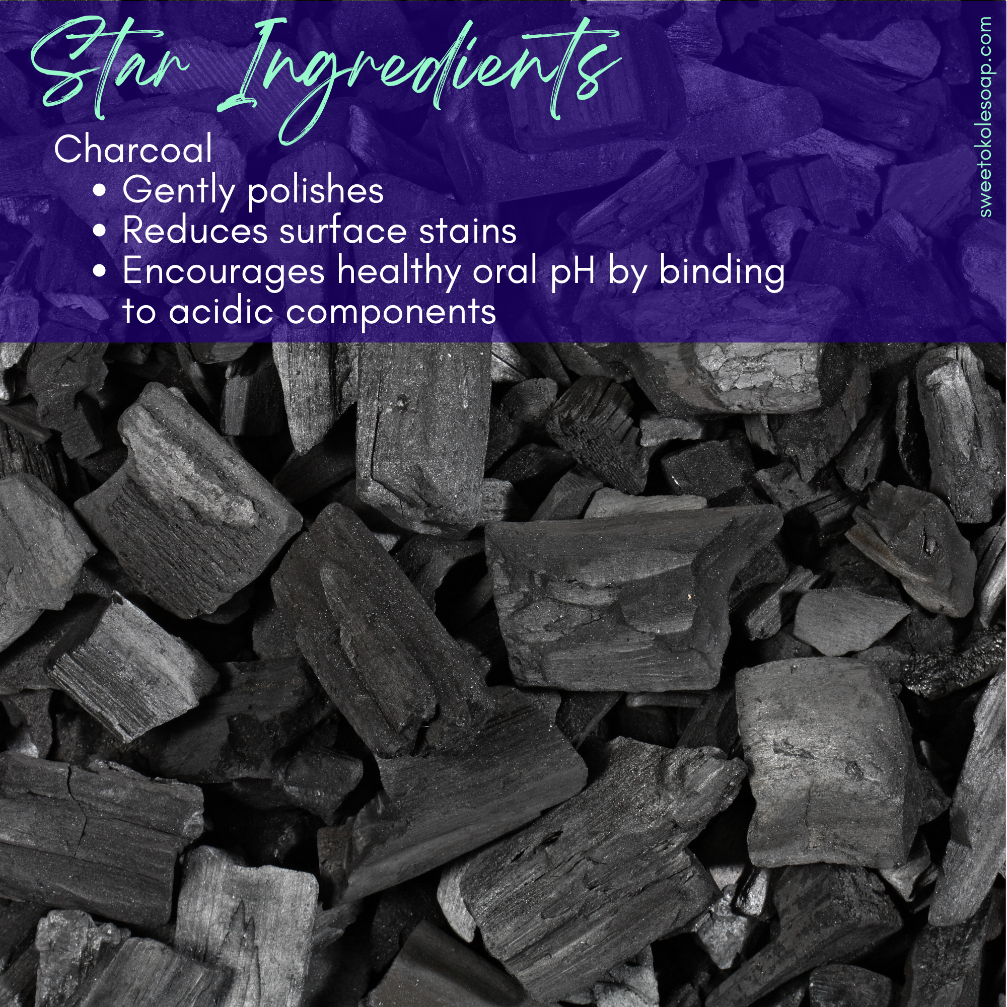 Sweet ʻŌkole Soap Co. - Wholesale Toothpaste - Herb Mineral Tooth Powder with Charcoal & Hydroxyapatite1