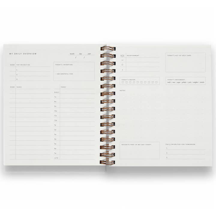 Ramona & Ruth - Wholesale Planner - Daily Overview Planner | Assorted Colors // Undated