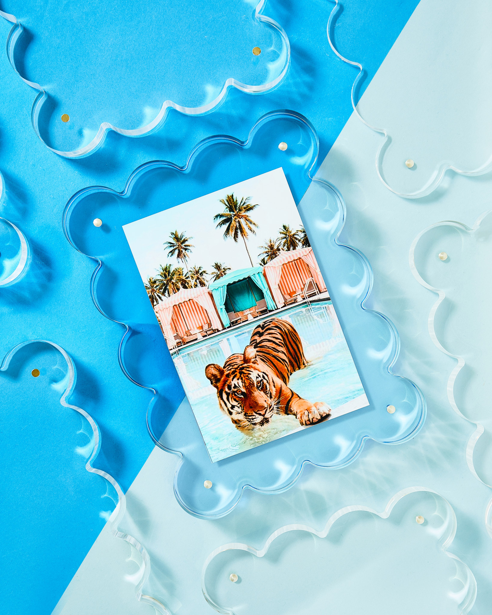 Tart By Taylor - Wholesale Picture Frame - Neon Blue Acrylic Picture Frame5