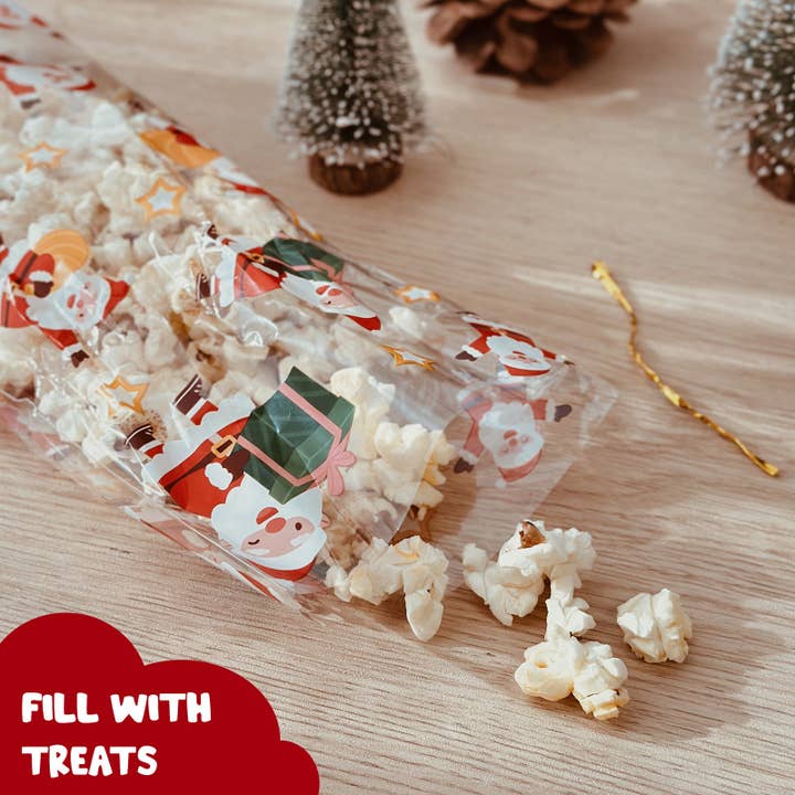 Wrapables.com - Wholesale Gift Bag - Wrapables 100pcs Christmas Cellophane Treat Bags and Ties