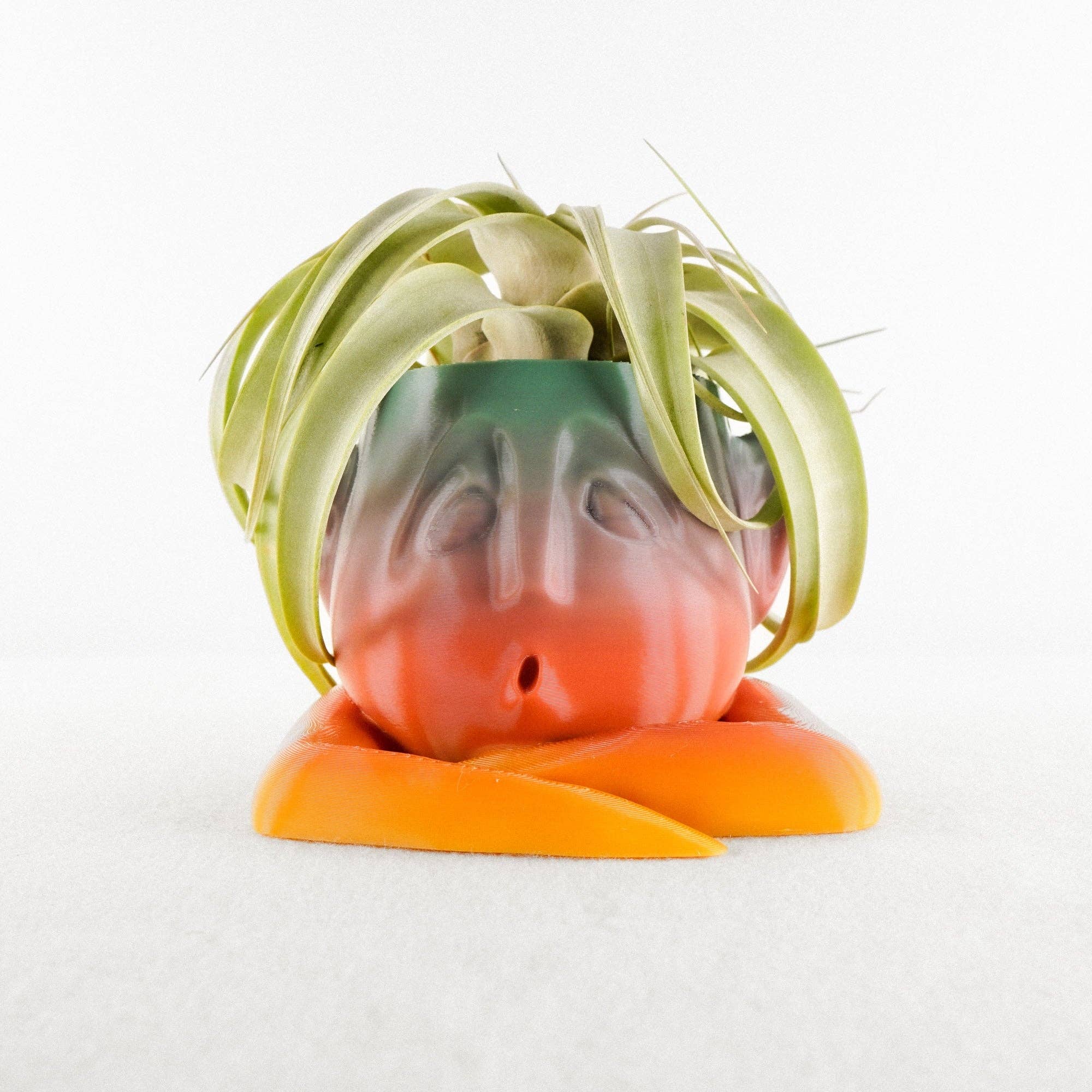 Rosebud Homegoods - Wholesale Plant Pot - Shady Air Head Planter13