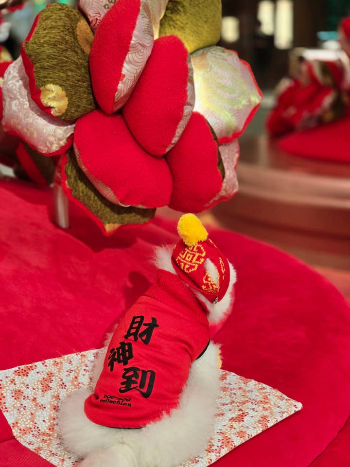 Pet Reversible T-shirt CNY God of Fortune S428 for wholesale by Dandy's Pawsome