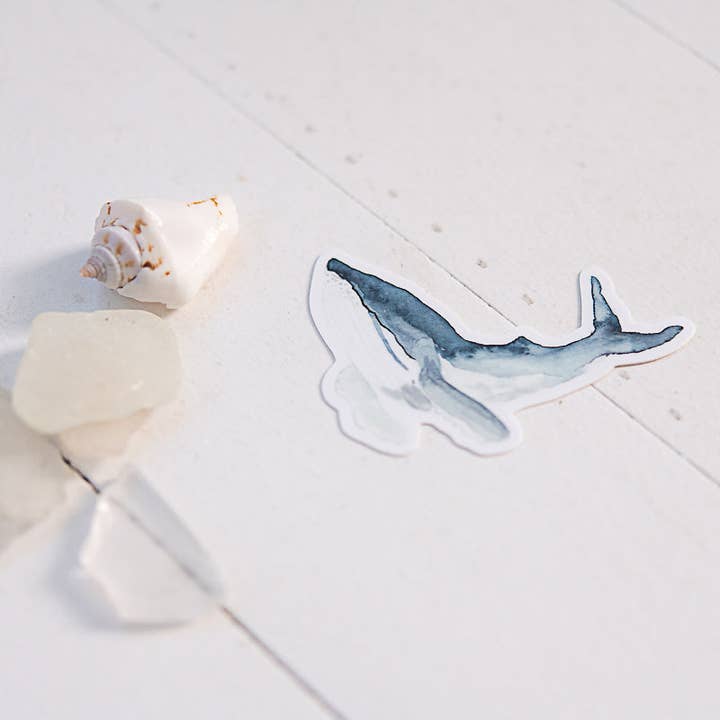 Finding Silver Pennies - Wholesale Sticker - Humpback Whale Sticker
