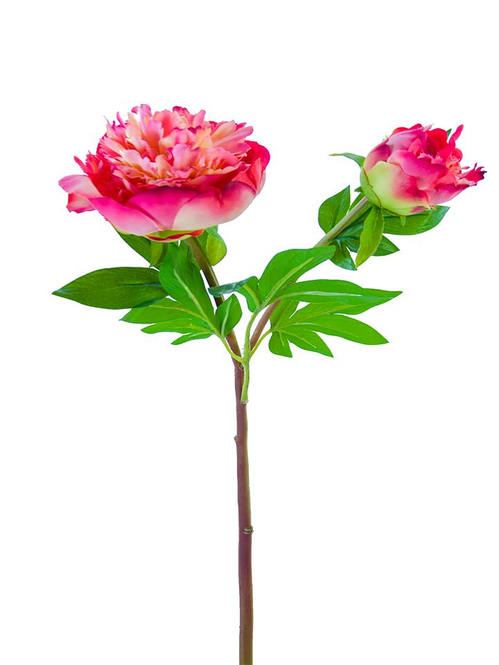 American Best - Vente Fleurs artificielles - PIVOINE À VOLANTS FRESH TOUCH 26"3