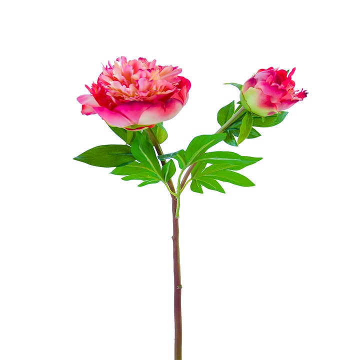 American Best - Vente Fleurs artificielles - PIVOINE À VOLANTS FRESH TOUCH 26"3