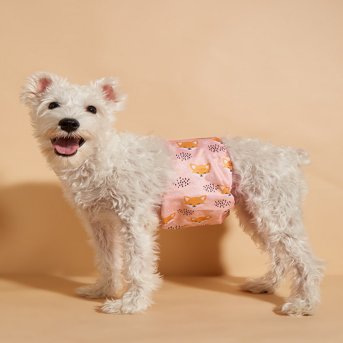 PAWPAWwholesale - Wholesale Pet Diaper - Dog - Male Dog Diaper Wrap – Reusable & Waterproof_CWMM730418