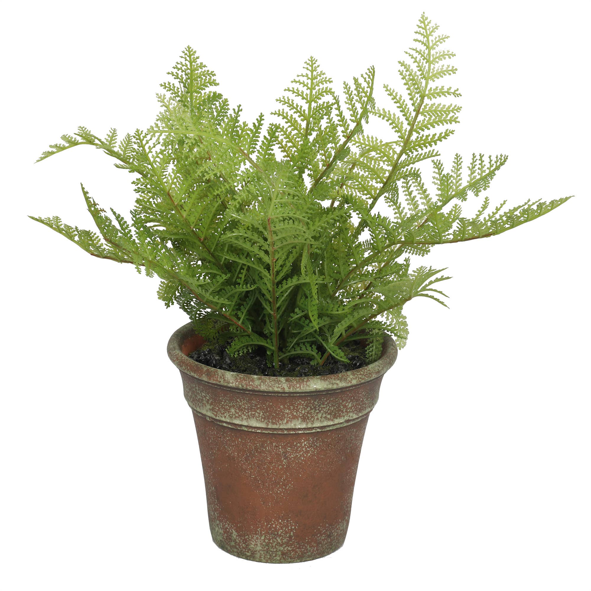 Wholesale Forest Fern Plant - Artificial - 13 Inch for your store