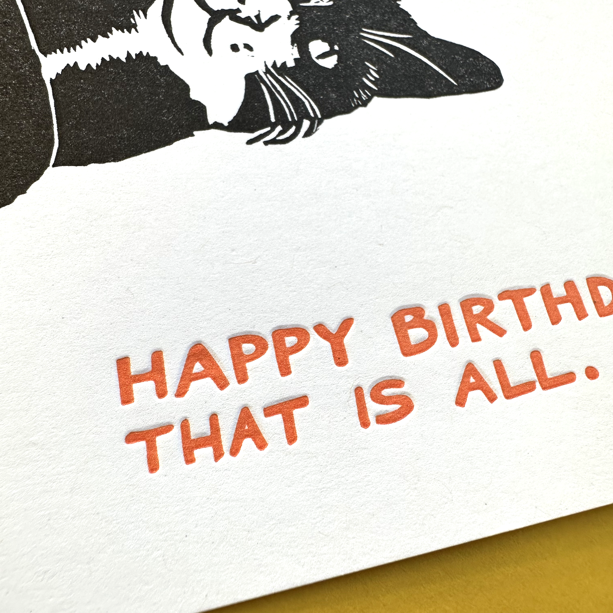 Lynn-oleum - Vente Cartes d'anniversaire - CARTE TYPOGRAPHIQUE D'ANNIVERSAIRE POUR CHAT1